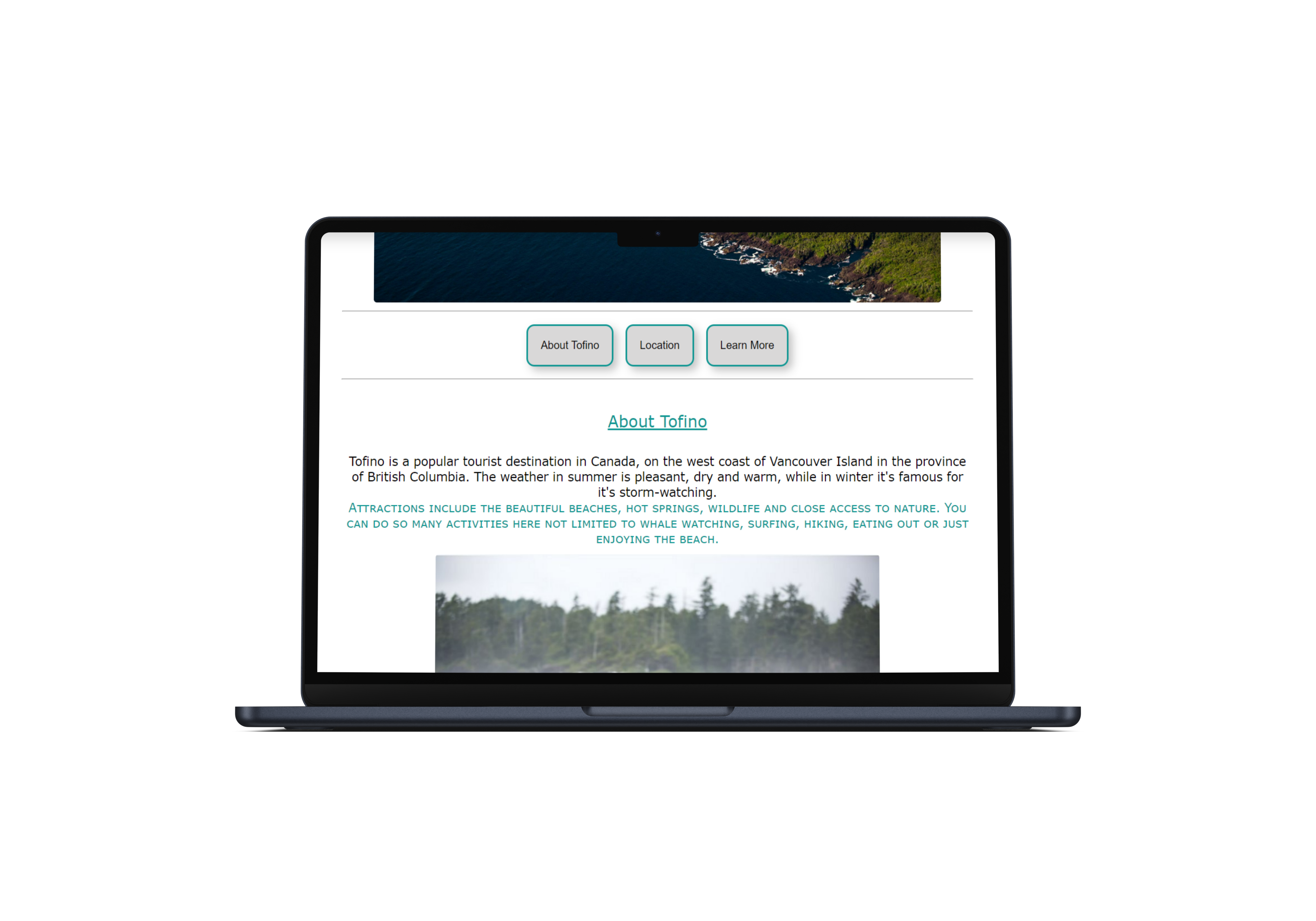 tofino landing page preview